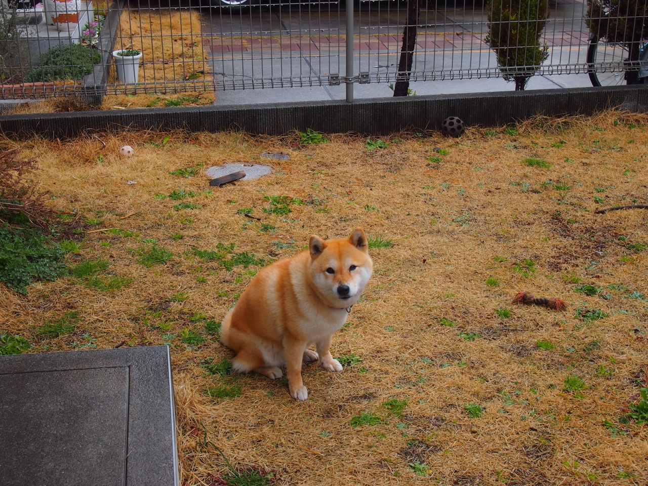 “篮球夏令营”成为暑假青少年最热宠，行业规模持续扩大，暑期篮球夏令营