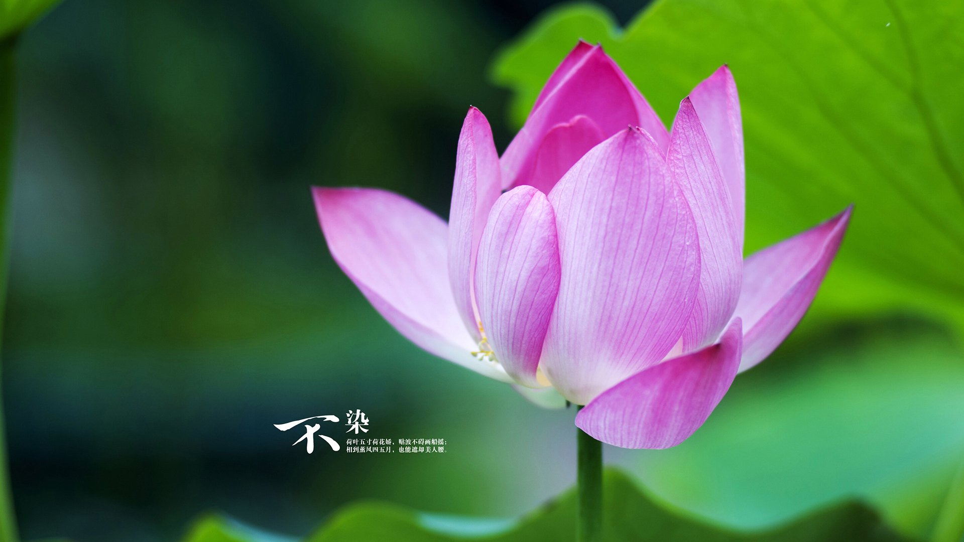 _精选瞬间:网球比赛中的神奇得分集锦_,网球比赛得分和失分标准