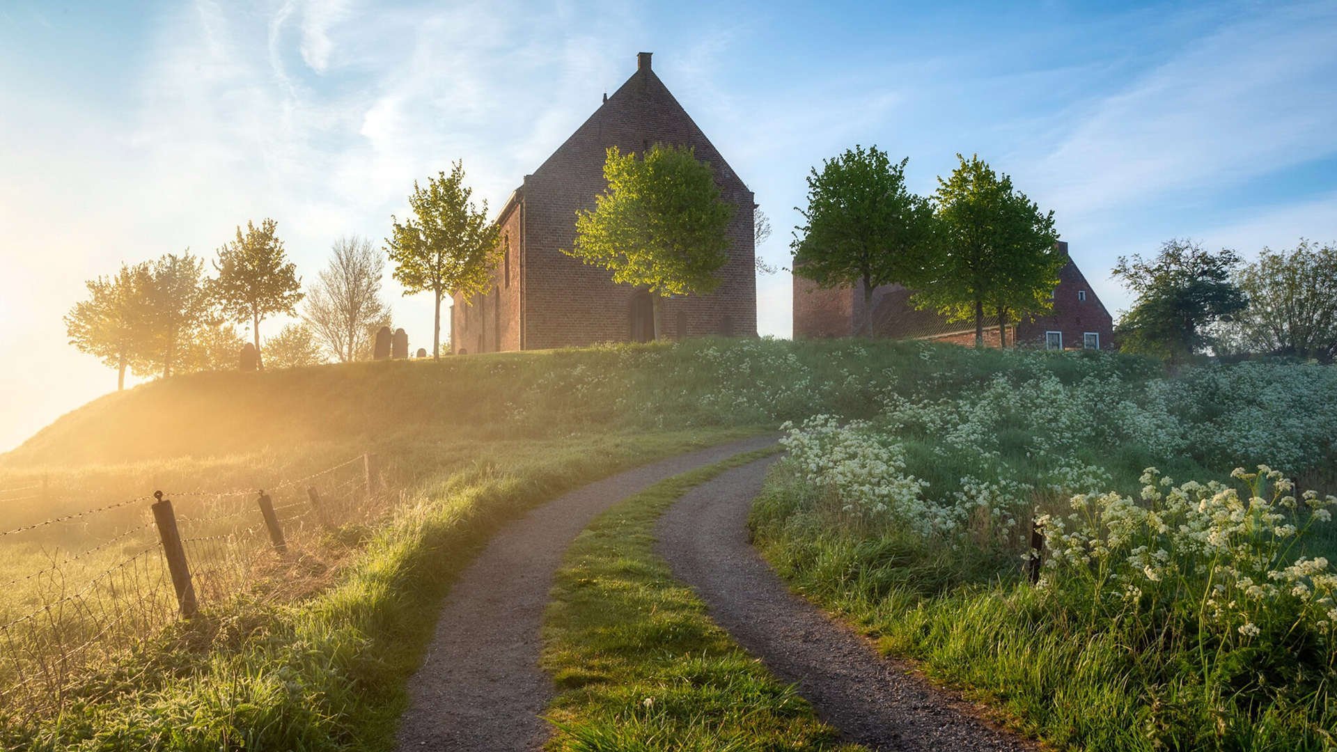 “全场焦点:明星球员的精彩表现点燃现场气氛”,明星球员图片