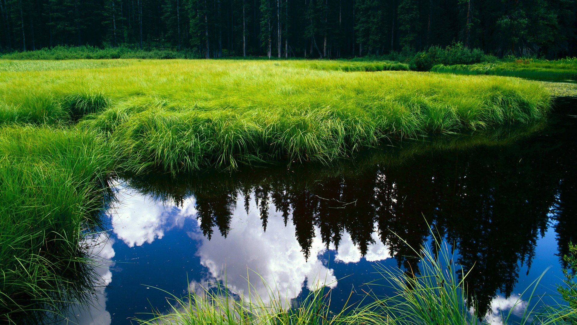 九游官网pc-国际拳击比赛中国队成绩喜人，获得多项殊荣，2021年国际拳击比赛视频